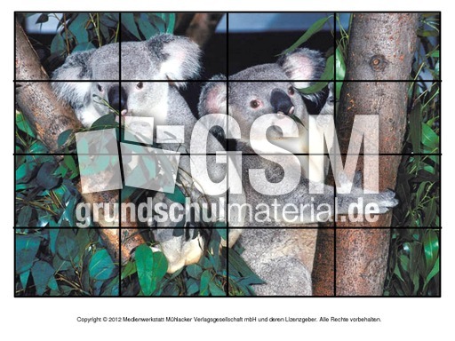Puzzle-Koala-1.pdf